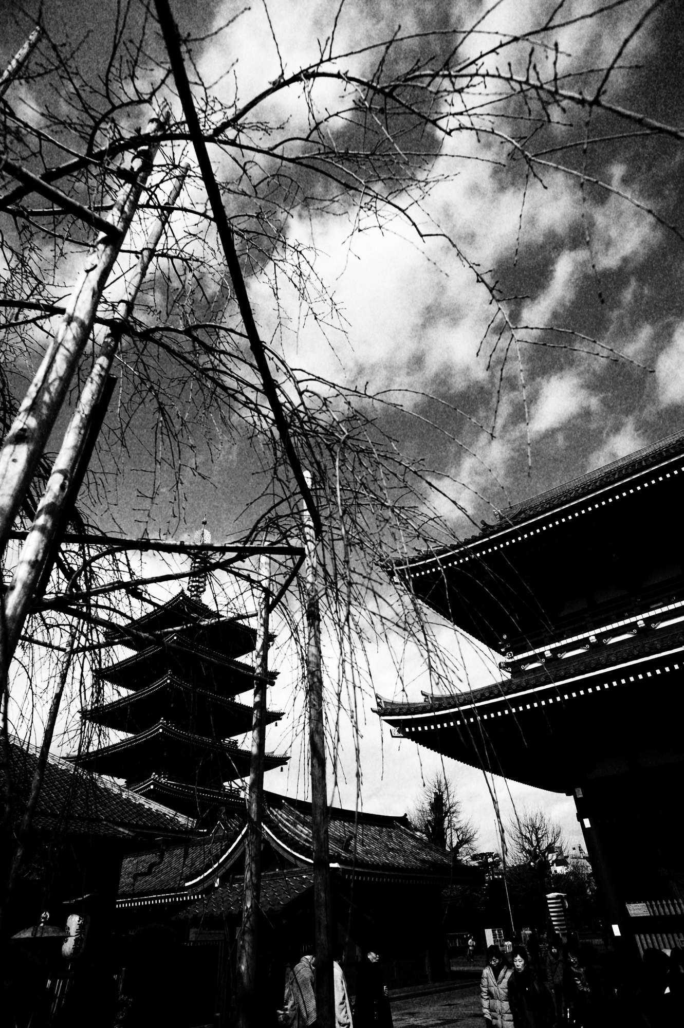 HP_IMG_1442