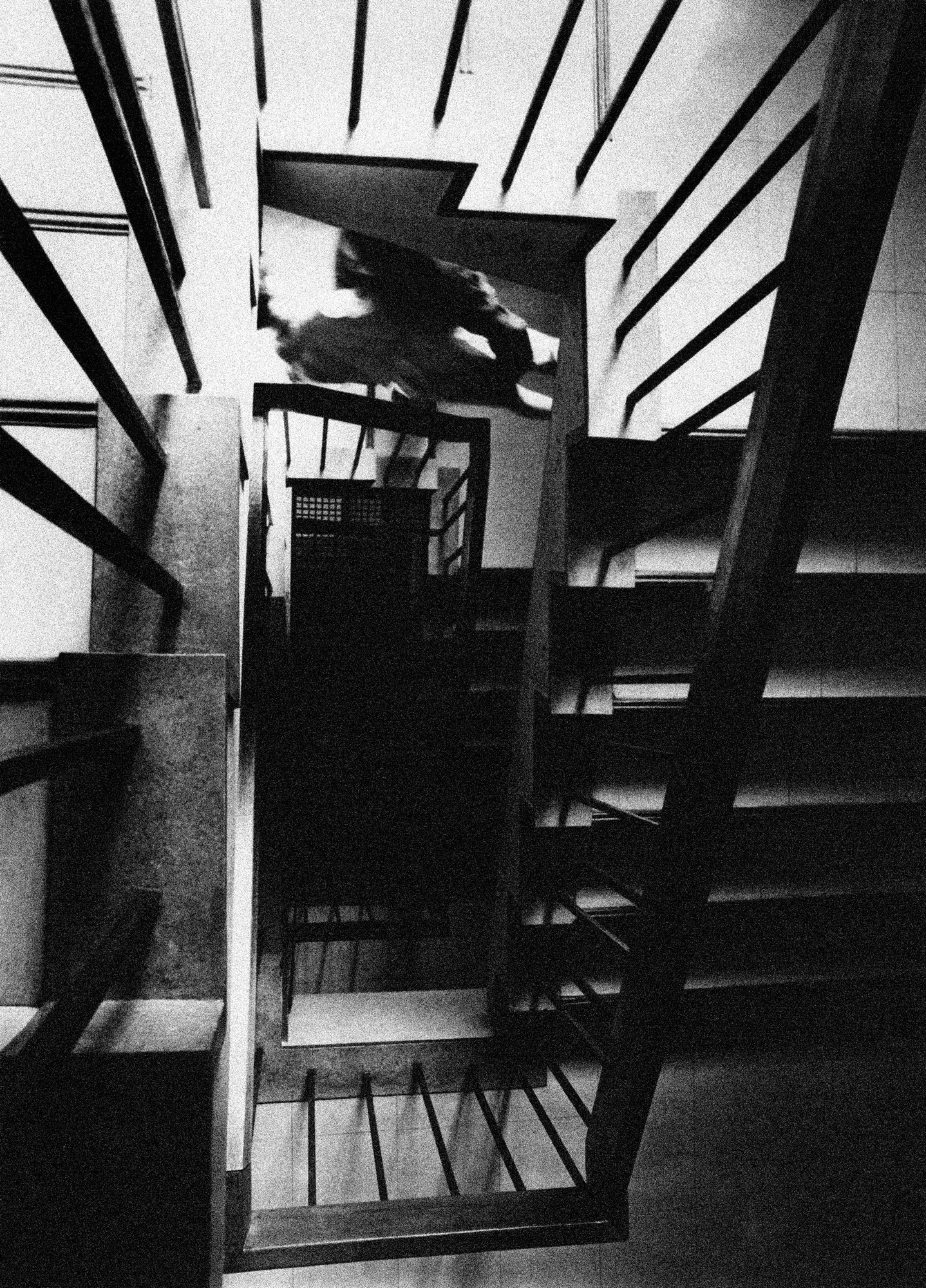 HP_img010-1