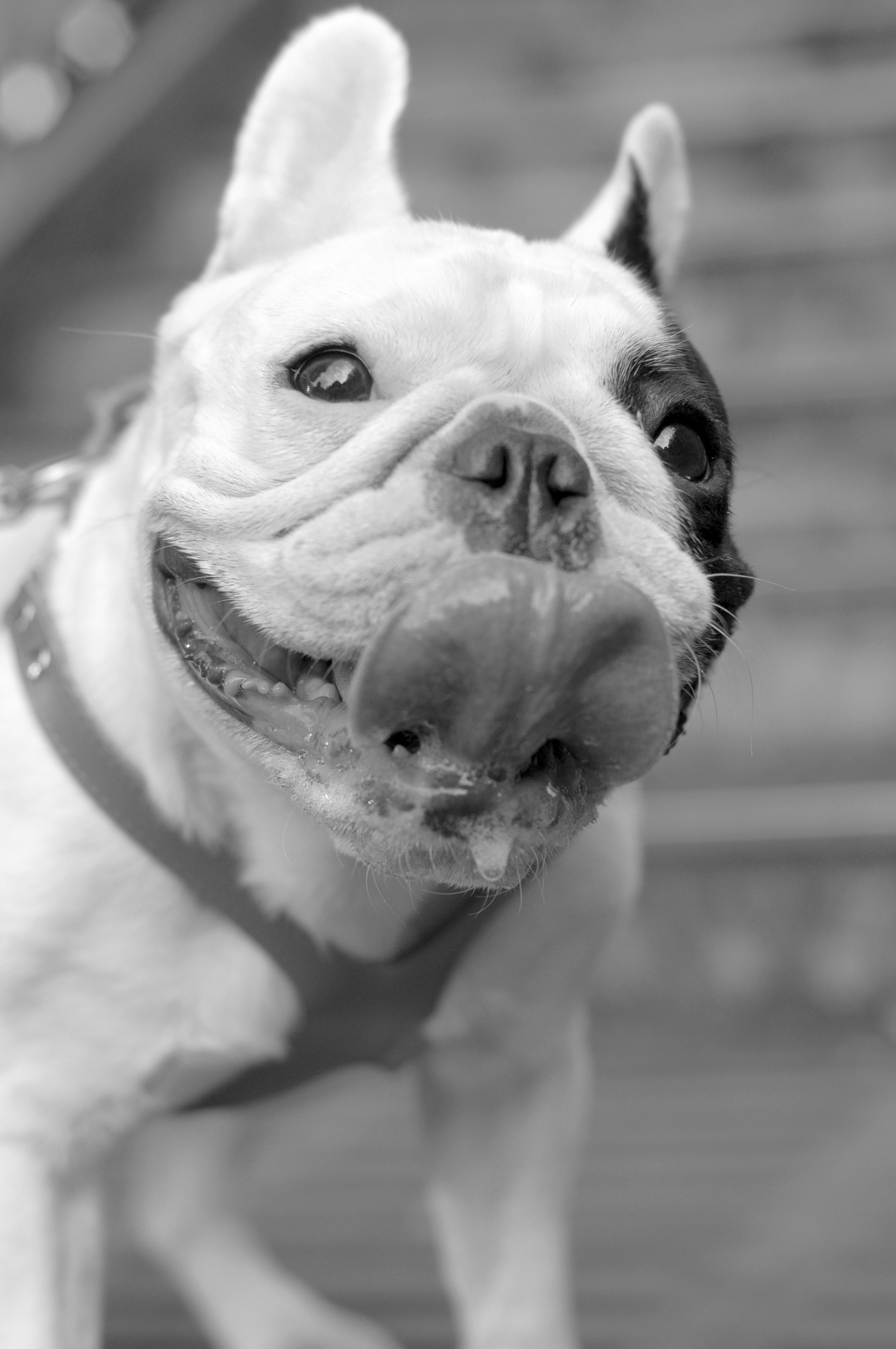 google_dsc_6543