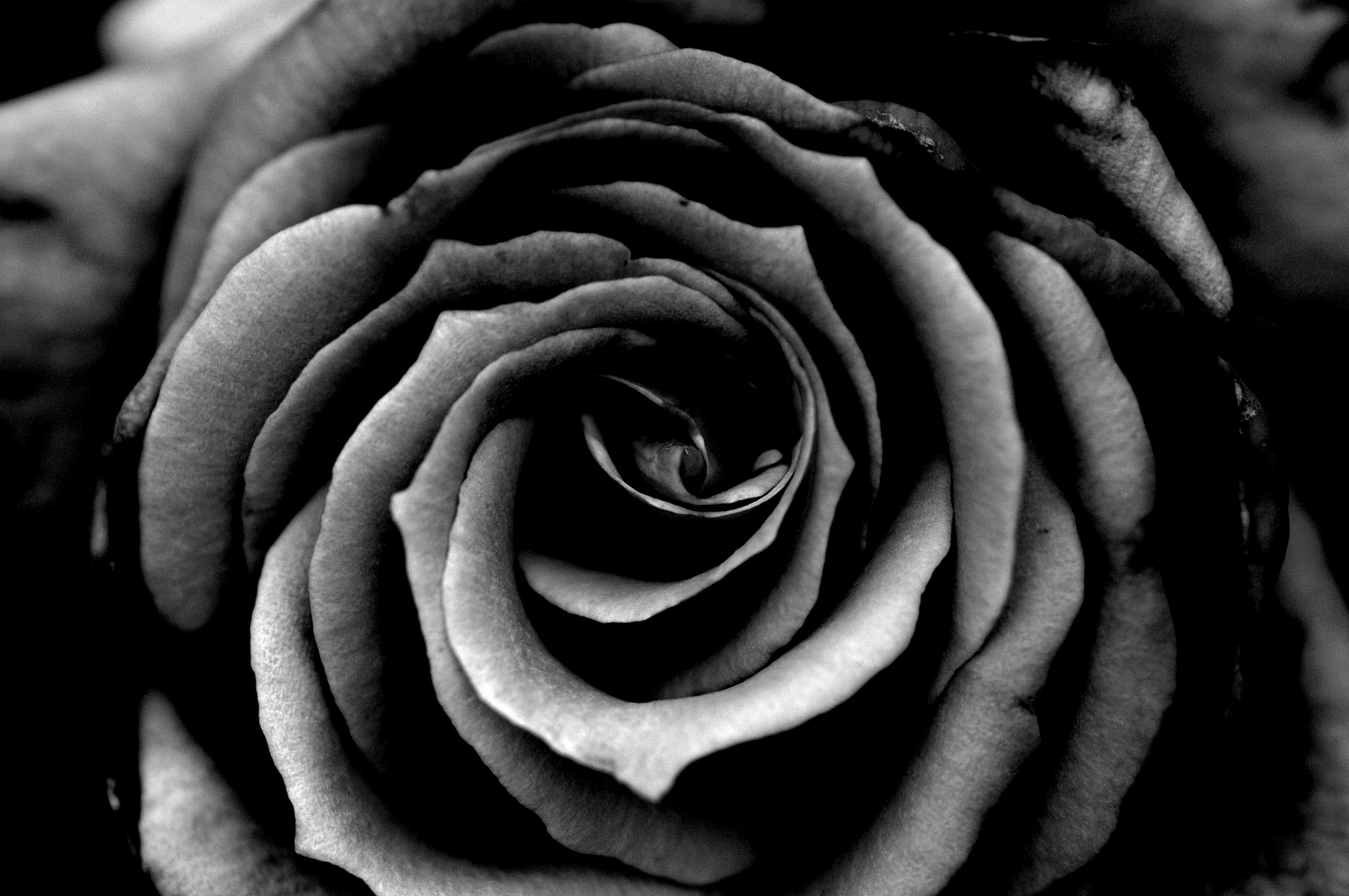 hp_dsc_0635