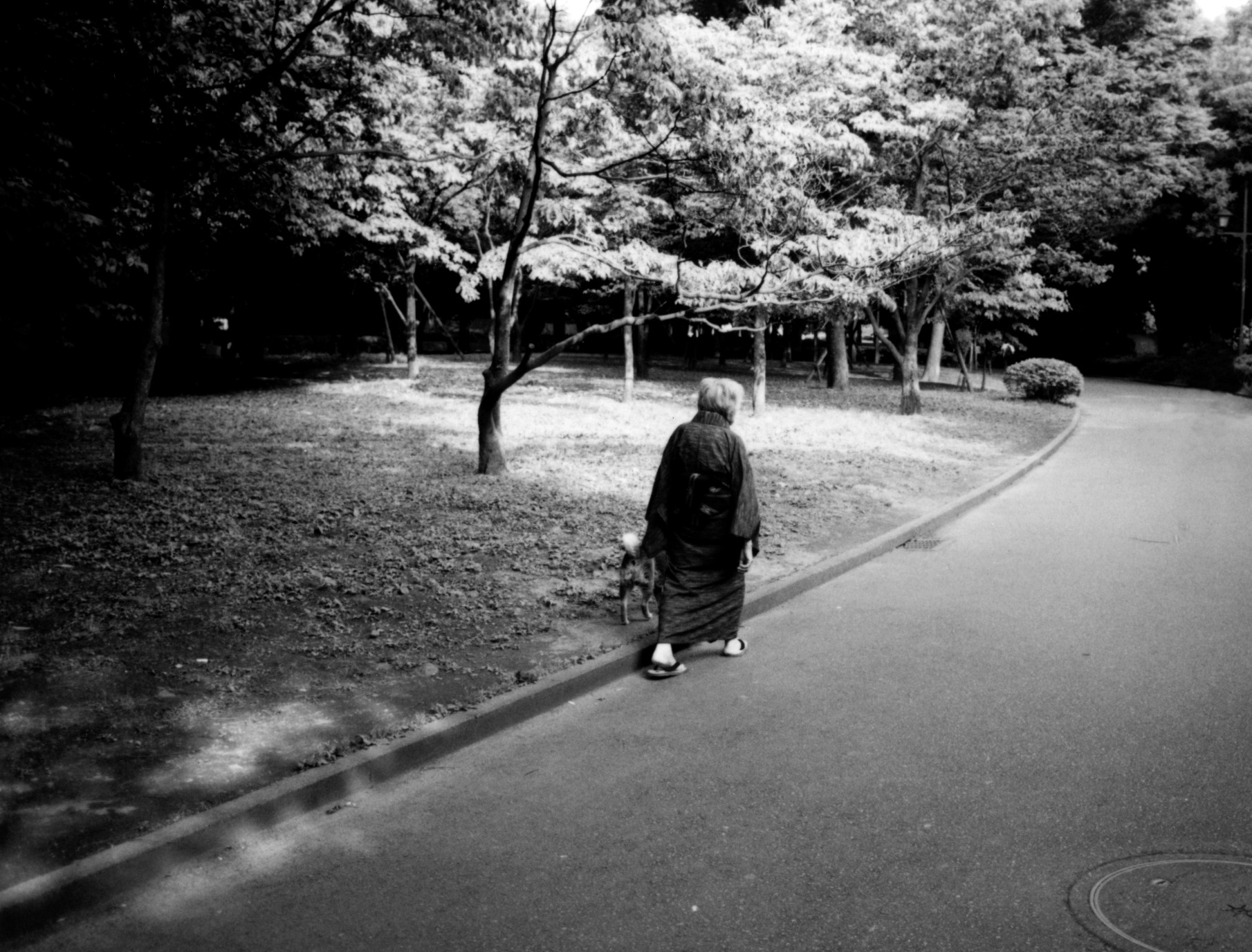 hp_scan10015-1